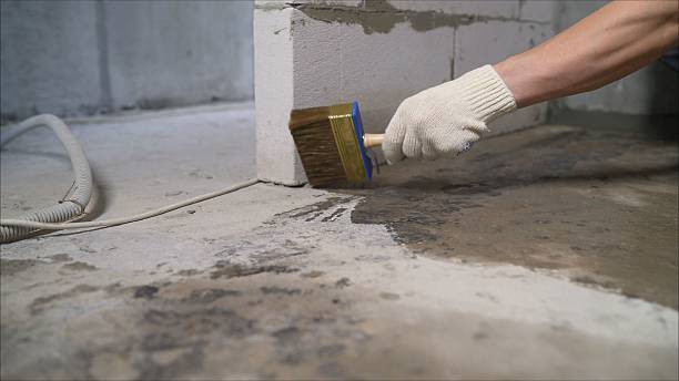 24/7 Emergency Waterproofing experts in Ovid, MI